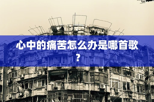 心中的痛苦怎么办是哪首歌？