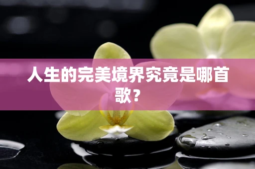 人生的完美境界究竟是哪首歌？