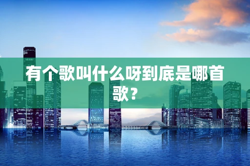 有个歌叫什么呀到底是哪首歌？