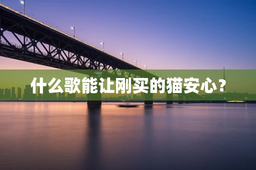 什么歌能让刚买的猫安心？