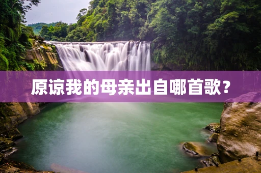 原谅我的母亲出自哪首歌？