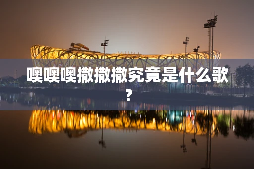 噢噢噢撒撒撒究竟是什么歌？
