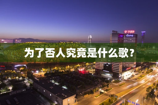 为了否人究竟是什么歌？