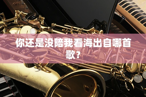 你还是没陪我看海出自哪首歌？