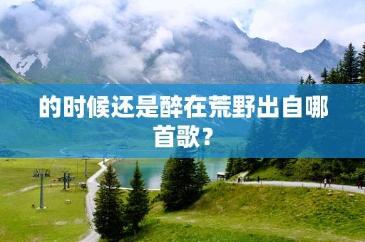 的时候还是醉在荒野出自哪首歌？