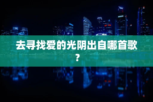 去寻找爱的光阴出自哪首歌？