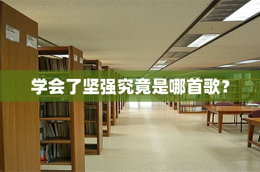 学会了坚强究竟是哪首歌？