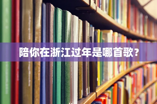 陪你在浙江过年是哪首歌？