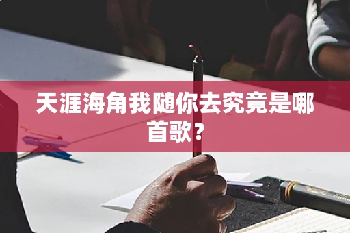 天涯海角我随你去究竟是哪首歌？