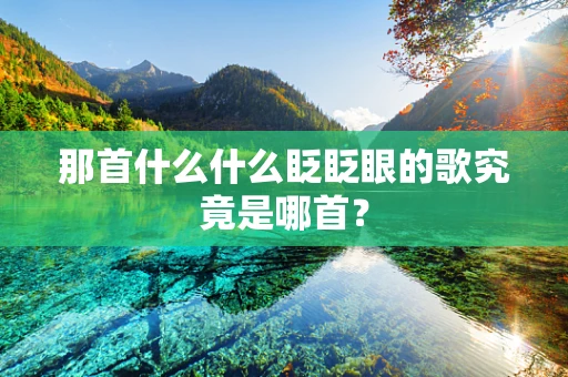 那首什么什么眨眨眼的歌究竟是哪首？