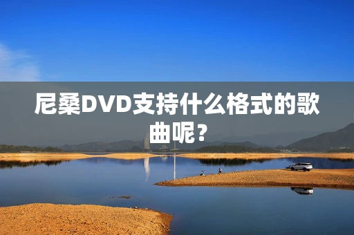 尼桑DVD支持什么格式的歌曲呢？