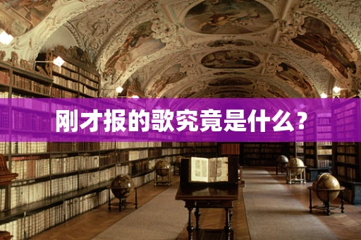 刚才报的歌究竟是什么？
