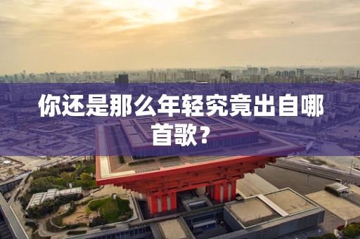 你还是那么年轻究竟出自哪首歌？