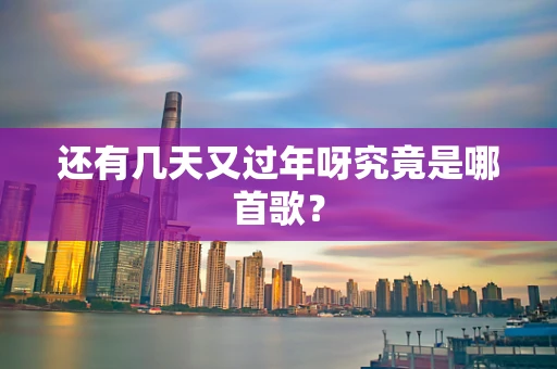 还有几天又过年呀究竟是哪首歌？
