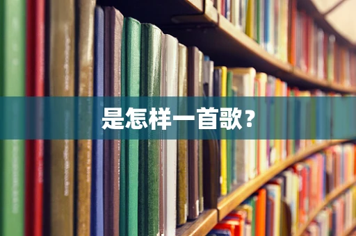 是怎样一首歌？