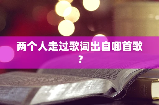 两个人走过歌词出自哪首歌？