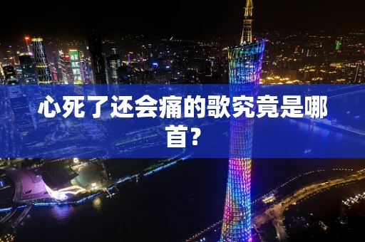 心死了还会痛的歌究竟是哪首？