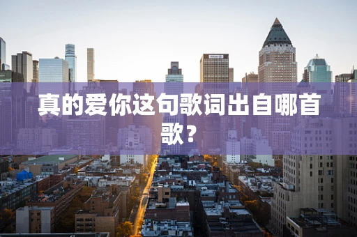 真的爱你这句歌词出自哪首歌？