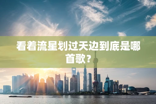 看着流星划过天边到底是哪首歌？