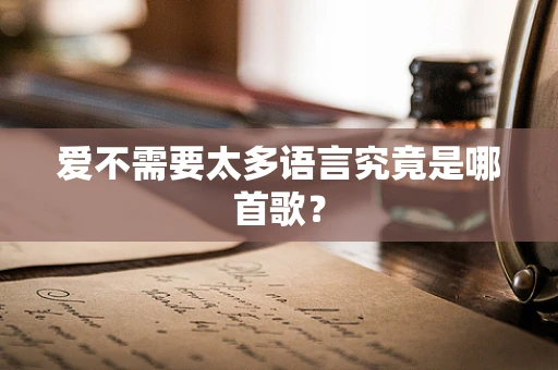 爱不需要太多语言究竟是哪首歌？