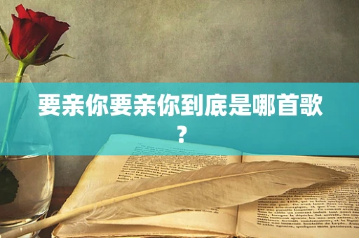 要亲你要亲你到底是哪首歌？