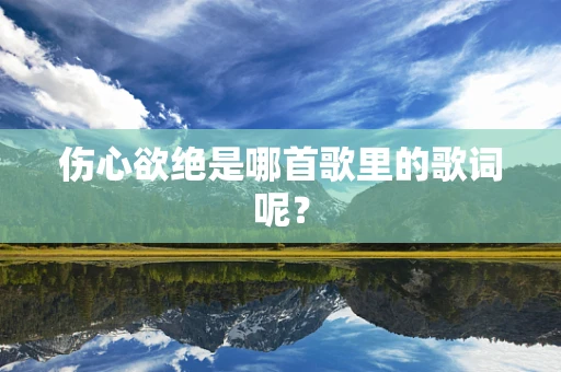 伤心欲绝是哪首歌里的歌词呢？