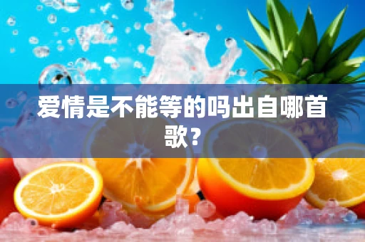 爱情是不能等的吗出自哪首歌？
