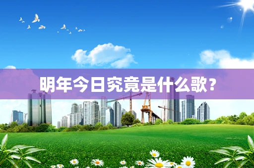 明年今日究竟是什么歌？