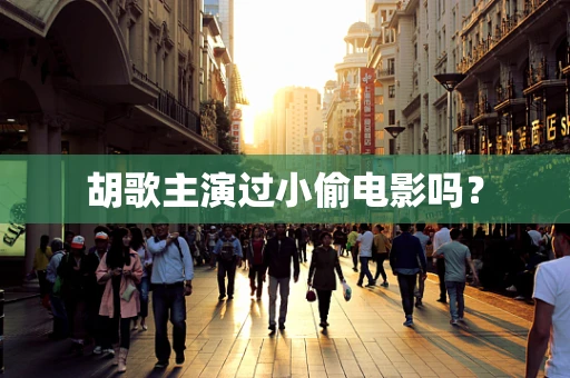 胡歌主演过小偷电影吗？