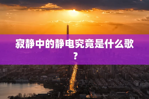寂静中的静电究竟是什么歌？