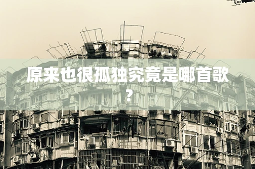 原来也很孤独究竟是哪首歌？