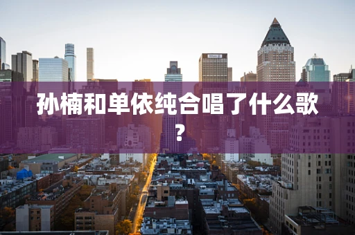 孙楠和单依纯合唱了什么歌？