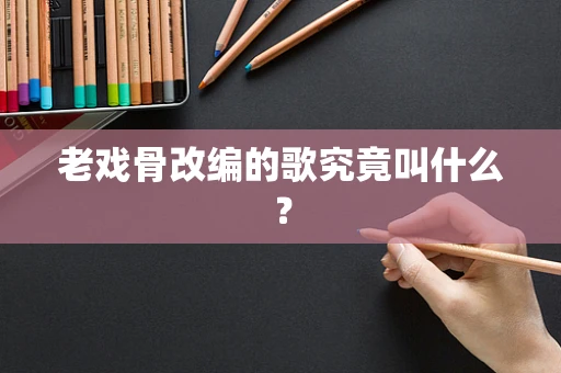 老戏骨改编的歌究竟叫什么？