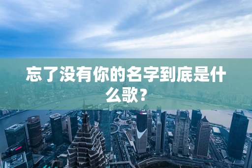 忘了没有你的名字到底是什么歌？