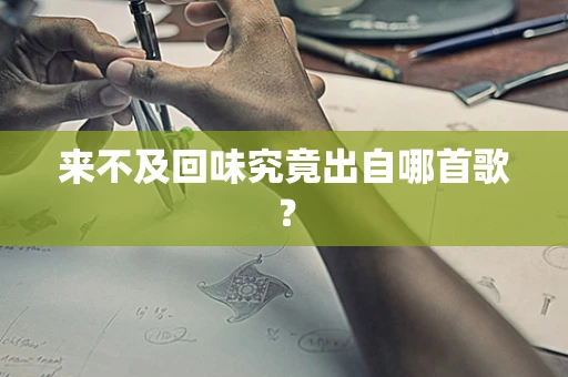 来不及回味究竟出自哪首歌？