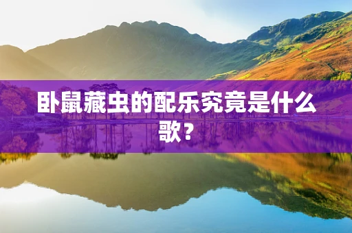 卧鼠藏虫的配乐究竟是什么歌？