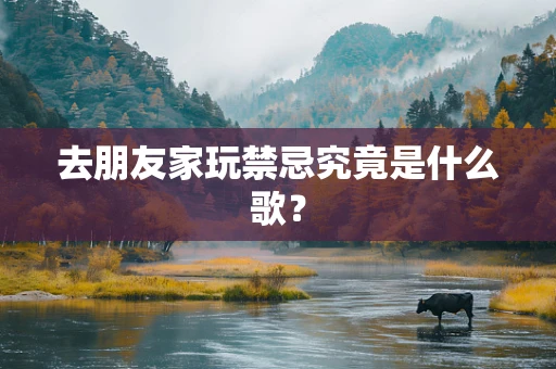 去朋友家玩禁忌究竟是什么歌？
