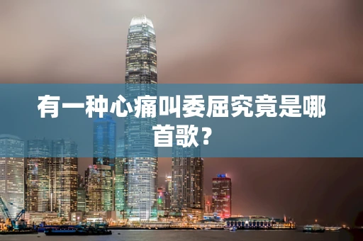 有一种心痛叫委屈究竟是哪首歌？