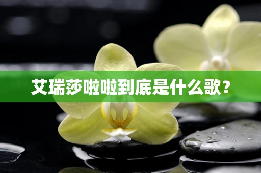 艾瑞莎啦啦到底是什么歌？