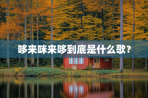 哆来咪来哆到底是什么歌？
