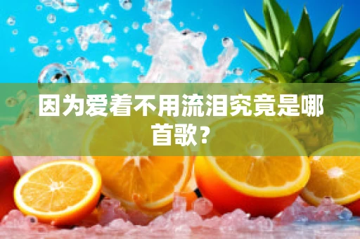 因为爱着不用流泪究竟是哪首歌？