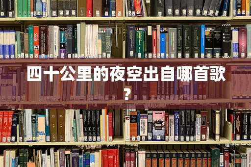 四十公里的夜空出自哪首歌？