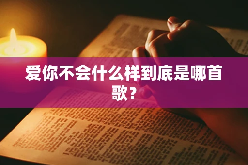 爱你不会什么样到底是哪首歌？