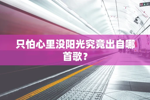 只怕心里没阳光究竟出自哪首歌？