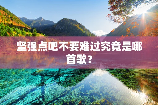 坚强点吧不要难过究竟是哪首歌？