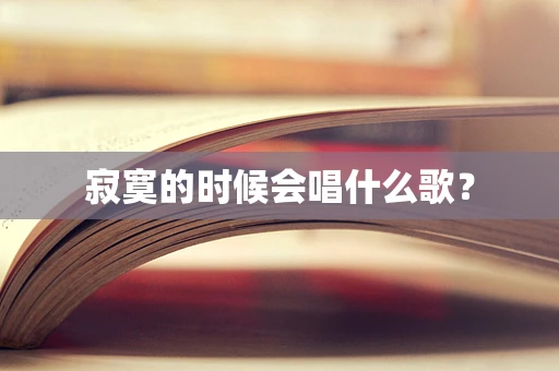 寂寞的时候会唱什么歌？