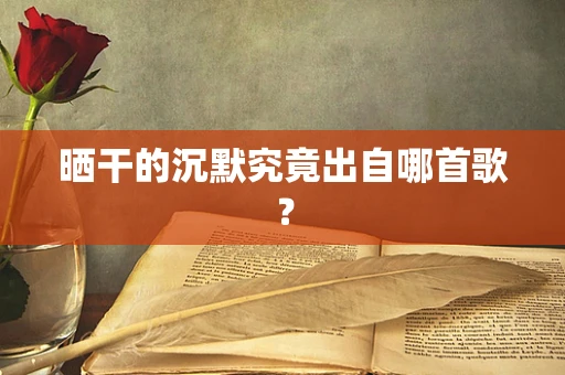 晒干的沉默究竟出自哪首歌？