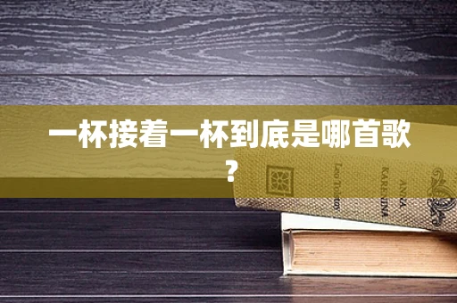 一杯接着一杯到底是哪首歌？