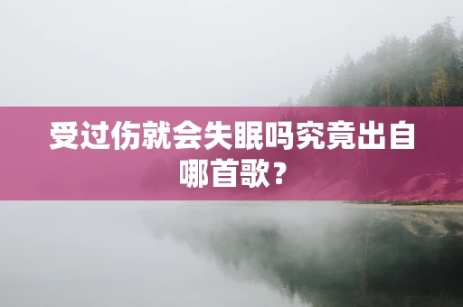受过伤就会失眠吗究竟出自哪首歌？
