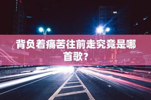 背负着痛苦往前走究竟是哪首歌？
